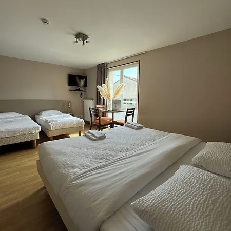 Отель La Metairie & Piscine