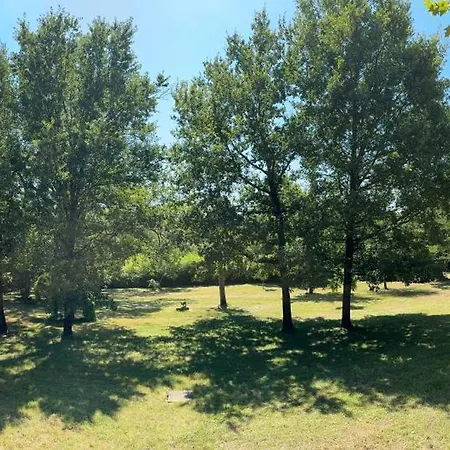 酒店 La Metairie & Piscine 2*