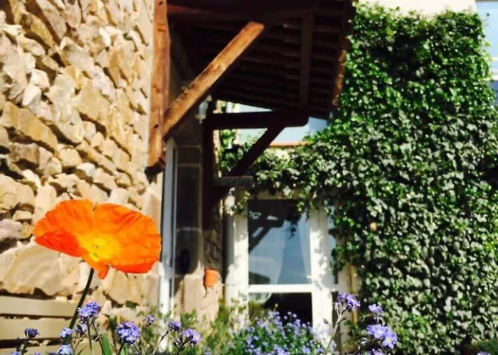 Hotel La Métairie&piscine Cordes-sur-Ciel