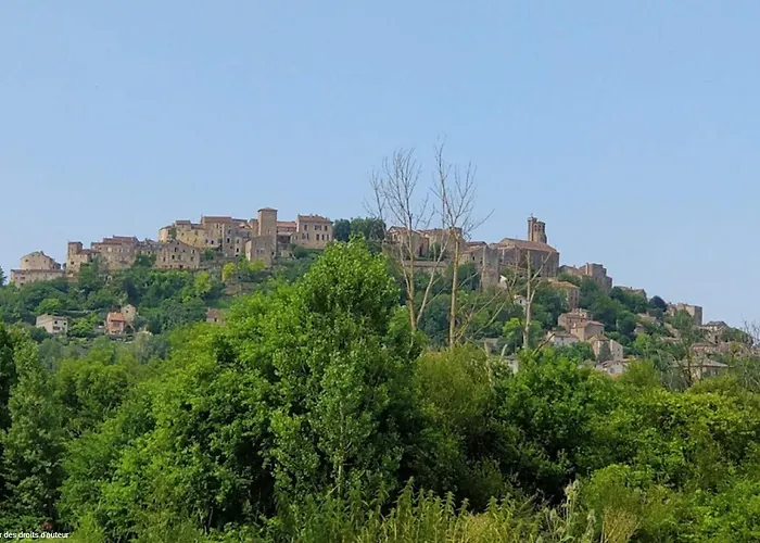 La Métairie&piscine 2* Cordes-sur-Ciel